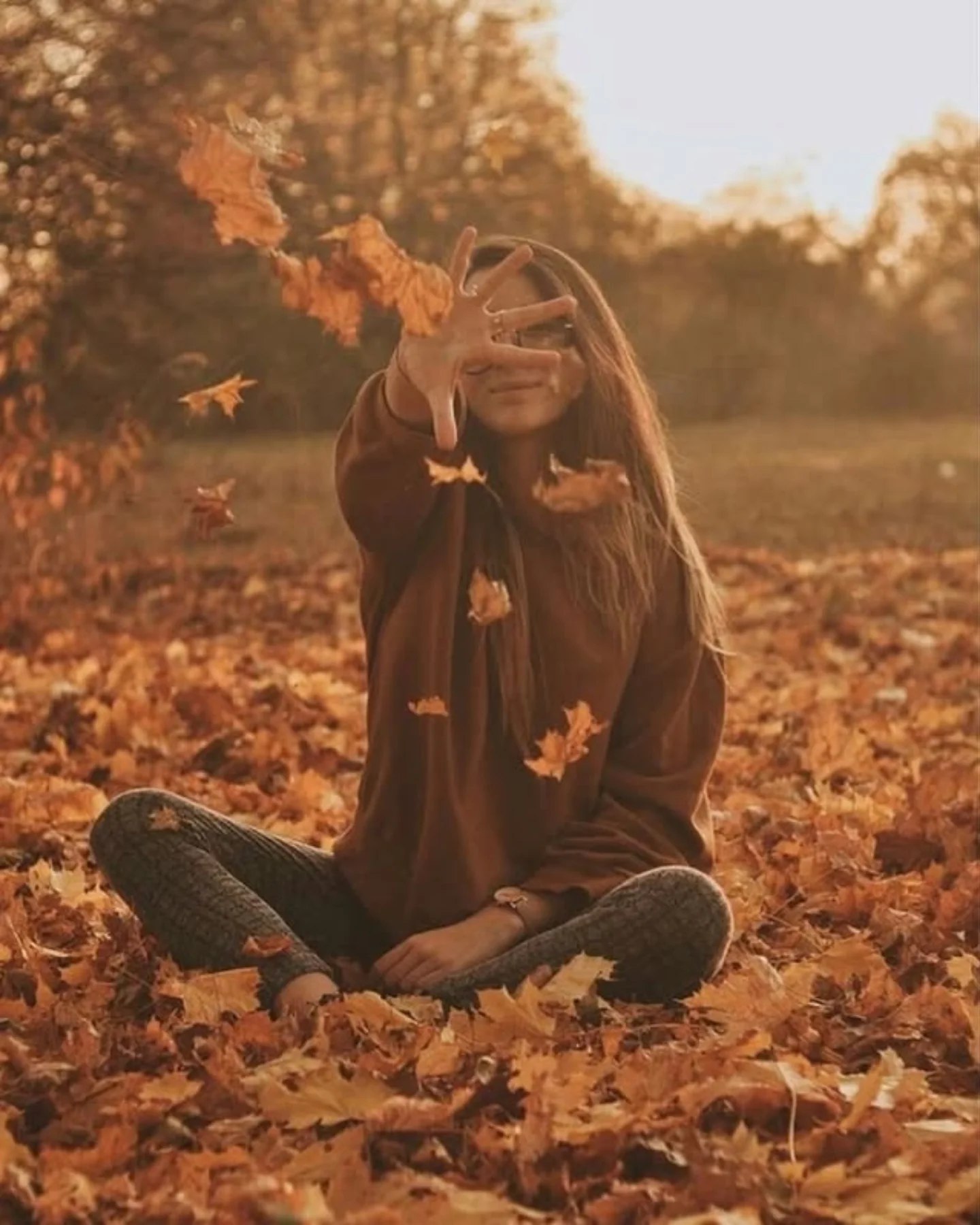 بیمو شاپ1